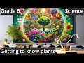 Plant Structure and Functions Assessment