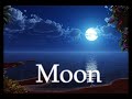 Nhận biết và dịch câu hỏi