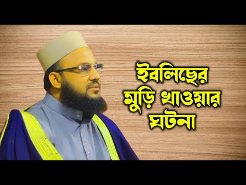 ইবলিসের মুড়ি খাওয়ার ঘটনা! মাওলানা সালাউদ্দিন চাঁদপুরীর ওয়াজ | Bangla Waz