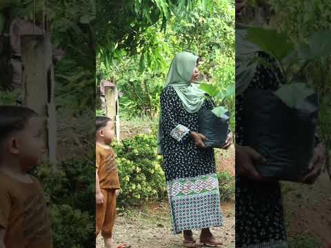 Kumpulan video lucu #ngakak #komedi