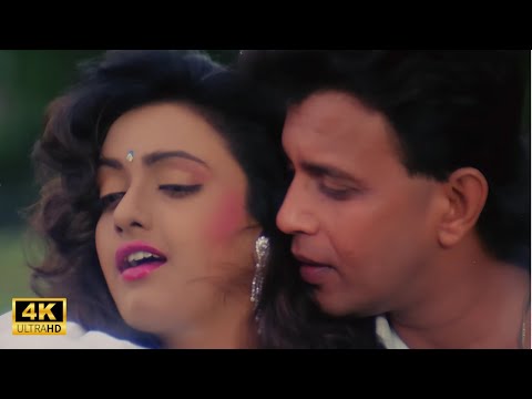 Chori Chori Dil Tera Churayenge | Phool Aur Angaar (1993) | Mithun, Shantipriya | Anu Malik