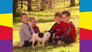 Bow Wow Wow | The Wiggles #OGWiggles