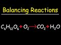 Understanding Cellular Respiration and Photosynthesis