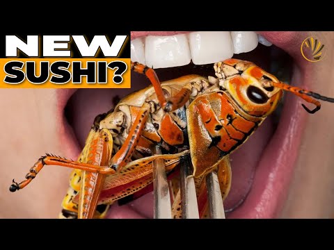 YouTube video thumbnail: Why Ugandan Grasshoppers Are the Next Big Superfood