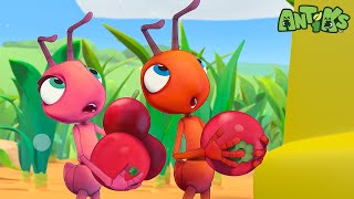 Fruits And Spins! | Antiks | हिंदी कार्टून | Oddbods Hindi