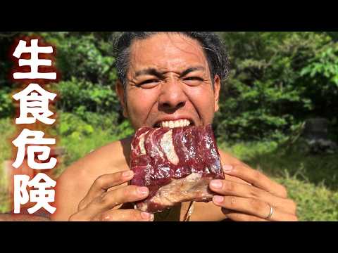 絶対に食べてはいけない生の熊肉を食べてみた