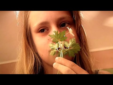 Старик нашёл девочку, которая ИСЦЕЛЯЕТ всё к чему прикасается, но однажды за ней пришли РОДСТВЕННИКИ