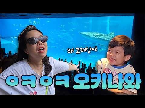 오키나와는 누가 가자고 했나