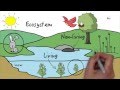 Understanding Ecosystems