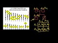 Genetic Profiles and Probability Concepts