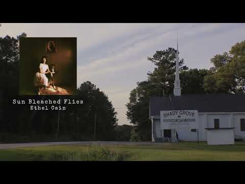 Sun Bleached Flies - Ethel Cain (Official Visualizer)