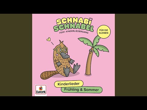 Leise, leise wie die Katzen schleichen