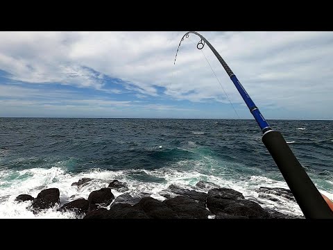 磯で青物釣りまくって山奥で引きこもる