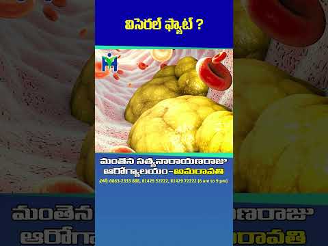 😩😩విసెరల్ ఫ్యాట్ అంటే ఏమిటి ? దీన్ని ఎలా తగ్గించుకోవచ్చు ? #Liver #DrManthenaSatyanarayanaRaju #Fat