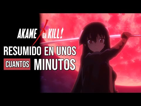 ◼️ Akame Ga Kill (Anime y Manga) RESUMIDO en unos cuantos minutos
