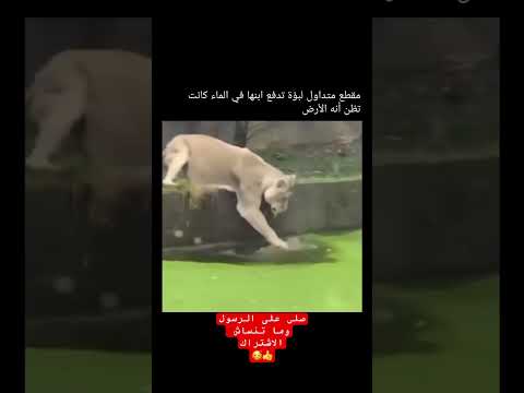 سبحان الخالق العظيم 😨😇 #اكسبلور #كيفيه #علم_النفس #شعر