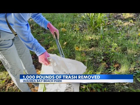 YouTube video thumbnail: Waimea Bay Cleanup Clears Over 1,000 Pounds of Trash and Debris