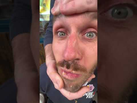 Aucun Alex n'a été maltraité durant ce tournage 😅 #restoparis #burgerparis #fishburger #pereetfish