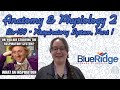 Anatomy and Physiology: Breathing and Respiratory System