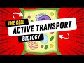 Active Transport and Cell Processes