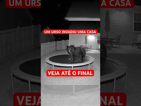 Urso invade casa e faz o INESPERADO! 😱🐻 #urso