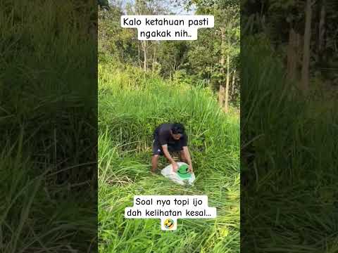 pasti ketahuan #shortviral #comedy #ngakak #gudanghiburan #lucu #viral