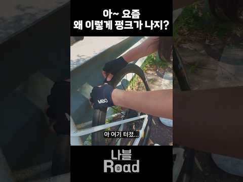 펑신강림 #자전거 #라이딩 #cycling #펑크