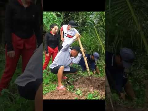 Con Rắn Màu Đen Như Vỏ Xe Ở Ké Sau Nhà Chị Gái