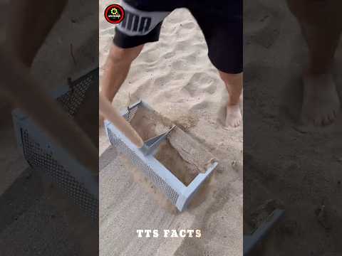 He Got Something Mysterious From The Ocean Sand โณ๐ฑ | #tictikseconds
