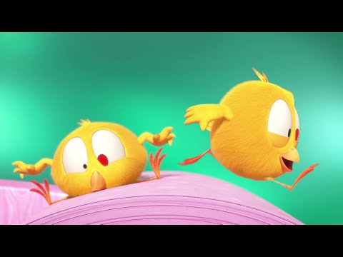 Where's Chicky? 🐥 Run Chicky, RUN! | A Xilam Series | Xilam TV