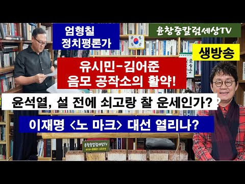 엄형칠 정치평론가 #유시민-김어준 음모 공작소의 활약! #윤석열, 설 전에 쇠고랑 찰 운세인가? #이재명 '노 마크' 대선 열리나?