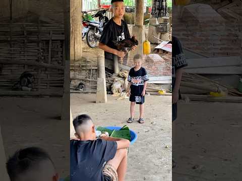 Anh cỏ muốn ăn gà #xumco #funny #xuhướng #tiktok #shorts