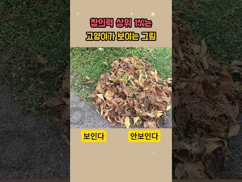 창의력 상위 1%인 사람은 고양이가 보이는 그림