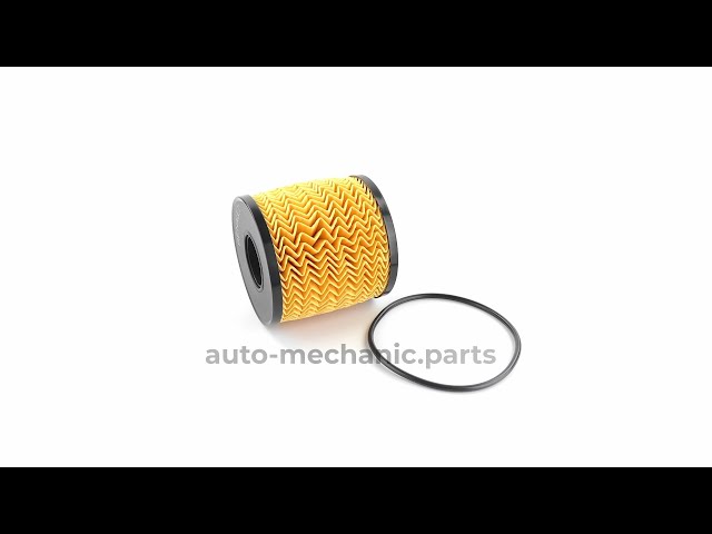 Фильтр масляный Renault Trafic/Master/Opel Movano 2.5dCi 00-, видео - интернет-магазин Auto-Mechanic