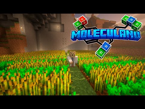 MOLECULAND - Empezamos con los cultivos | CAPÍTULO 5