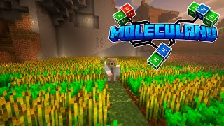 MOLECULAND - Empezamos con los cultivos | CAPÍTULO 5