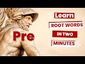 Understanding the Prefix 'Pre'