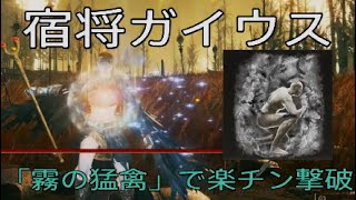 宿将ガイウスは「霧の猛禽」で楽チン[エルデンリング  DLC / ELDENRING]