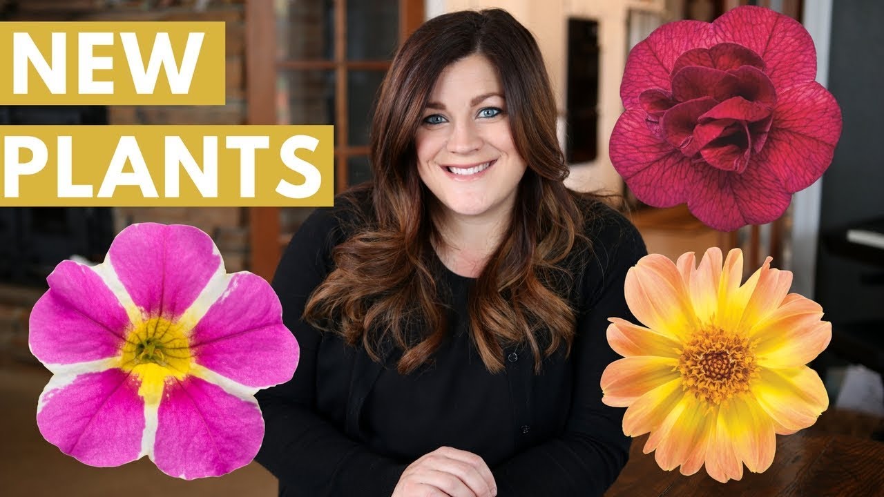 New Plants for 2018 #78