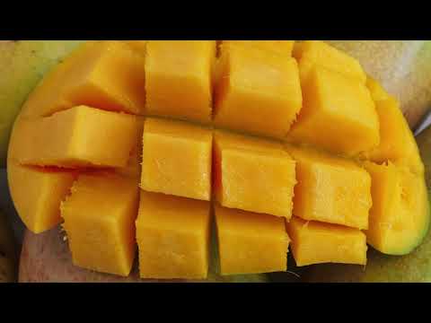 YouTube video thumbnail: Temporary Ban on Mango From CNMI to Prevent Spread of Invasive Pest to Guam