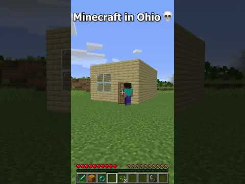 Can't even play Minecraft in Ohio ๐(part 6) #shorts #minecraft #ohio