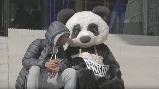 Tracklist Player Panda Desiigner Reads All The Lyrics - desiigner panda behind the scenes official pandato video