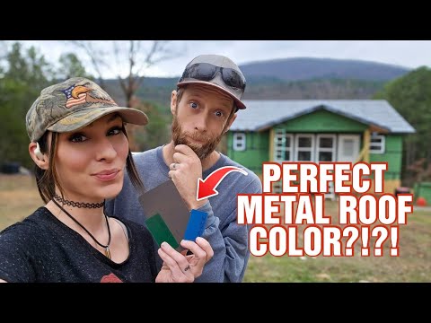 What COLOR Did We Pick For Our Metal ROOF On Our Cabin Homestead!?! RAW UPDATE VLOG!