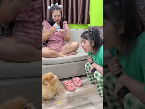 สรุปด่ากู เอ่อกูจะจำไว้