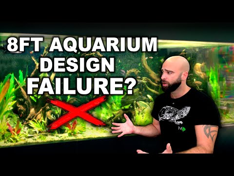 WAS MY NEW 8FT AQUARIUM A MISTAKE | CAN IT BE SALVAGED