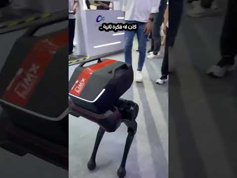 تنمر على كلب آلي؟؟