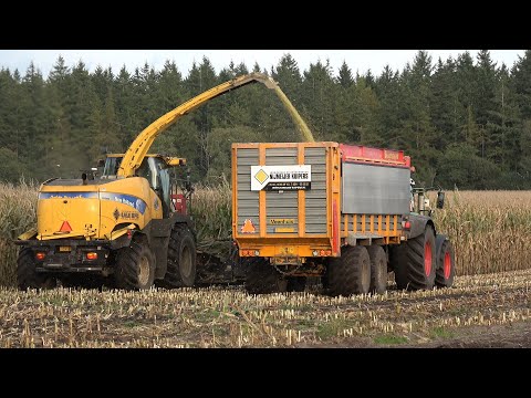 Mais hakselen in Wielen door loonbedrijf Nijmeijer Kuipers met een New Holland FR9050 (2024)