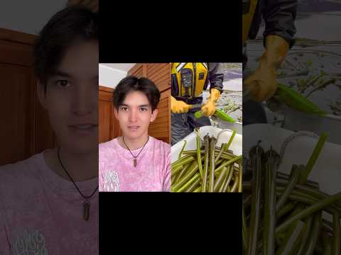 Tengo que enamorar a la princesa (PT’1) #shorts #historia #pov #ecuador