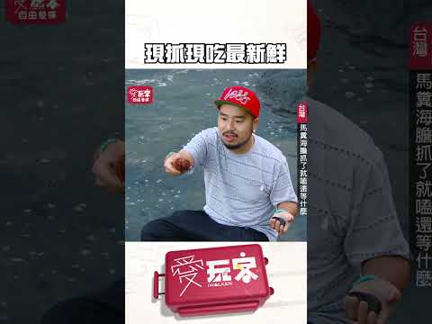 阿達坐享其成！【週一愛玩客】#自由發揮 #shorts