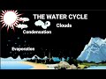 Water Cycle and Pollution Concepts